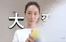小 向 美奈子 アダルト ビデオ